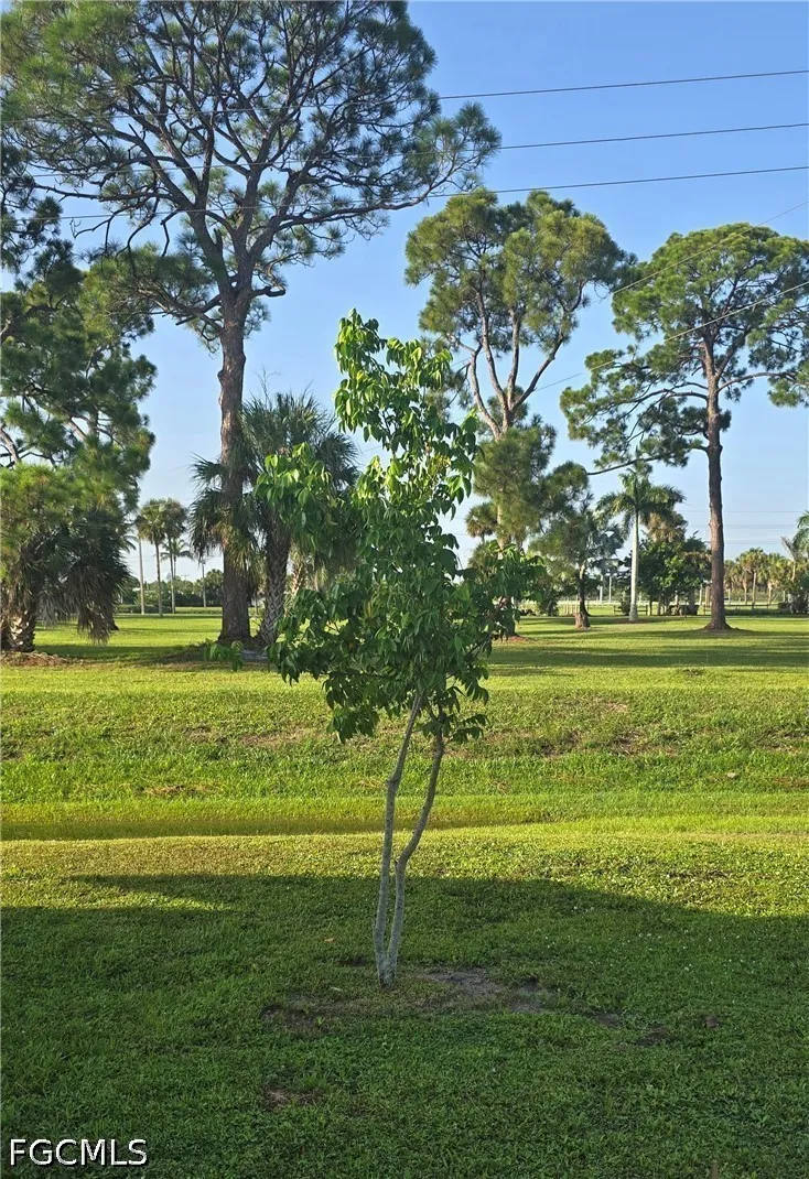 Homestead Drive North Fort Myers, FL 33917