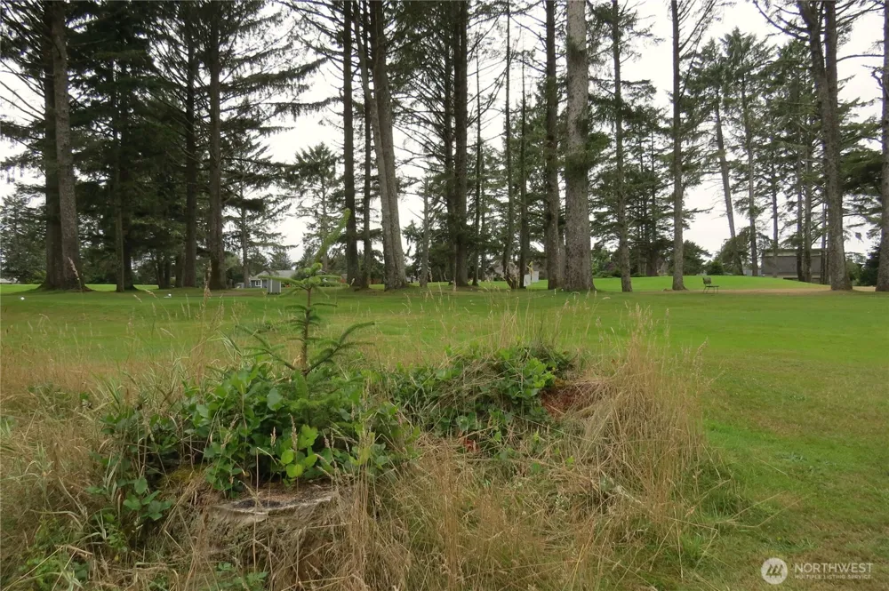 237 Dolphin Avenue NE Ocean Shores, WA 98569