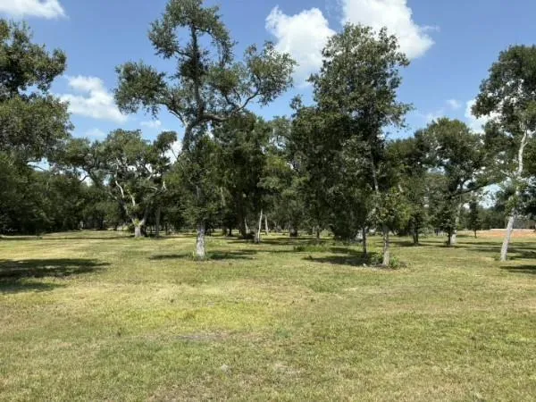 Fm 2611 Brazoria, TX 77422