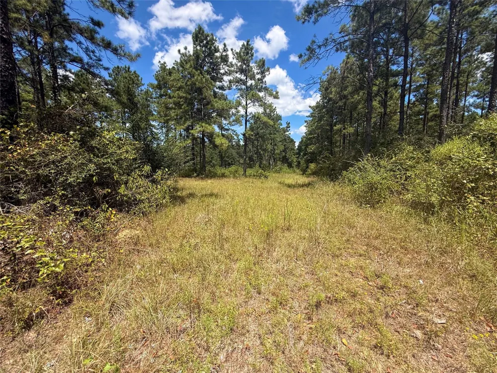 1 Richardson Road East Livingston, TX 77351