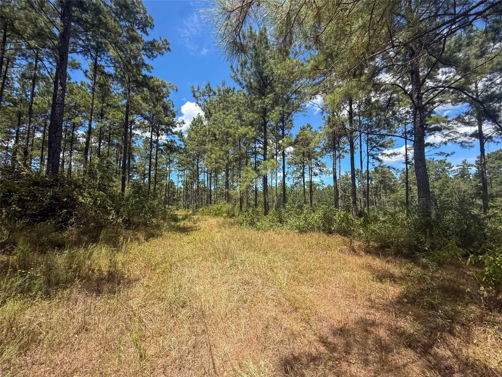 1 Richardson Road East Livingston, TX 77351