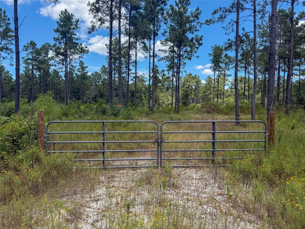 1 Richardson Road East Livingston, TX 77351