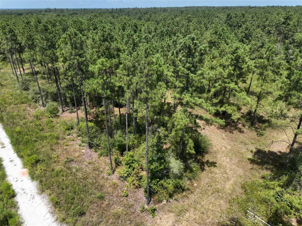 1 Richardson Road East Livingston, TX 77351