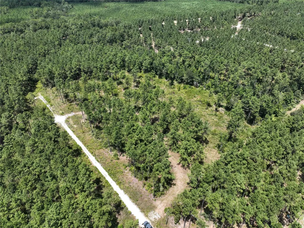 1 Richardson Road East Livingston, TX 77351