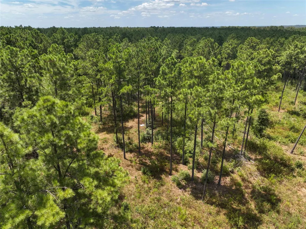 1 Richardson Road East Livingston, TX 77351