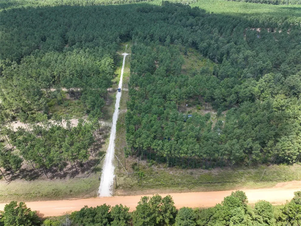 1 Richardson Road East Livingston, TX 77351