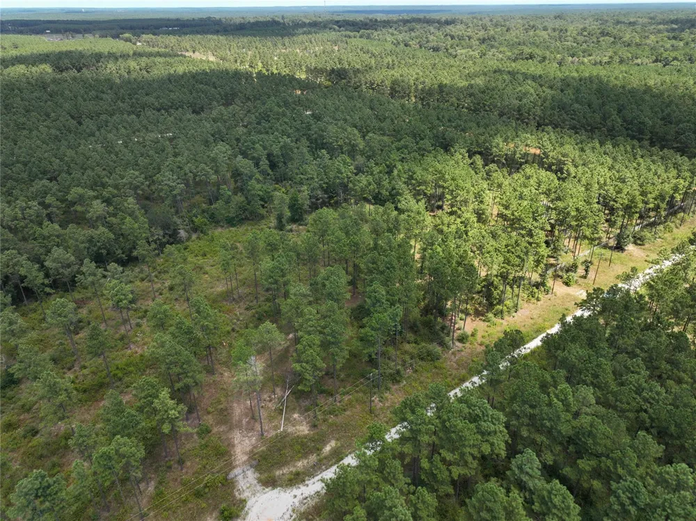 1 Richardson Road East Livingston, TX 77351