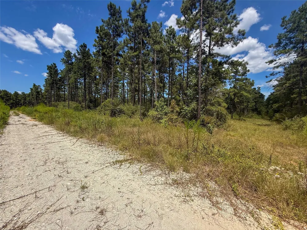 1 Richardson Road East Livingston, TX 77351