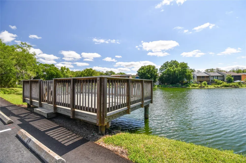 4009 DOLPHIN DRIVE Tampa, FL 33617