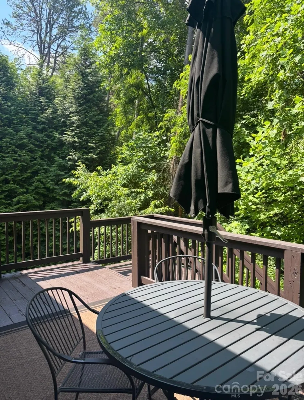 33 Gray Duster Circle Biltmore Lake, NC 28715