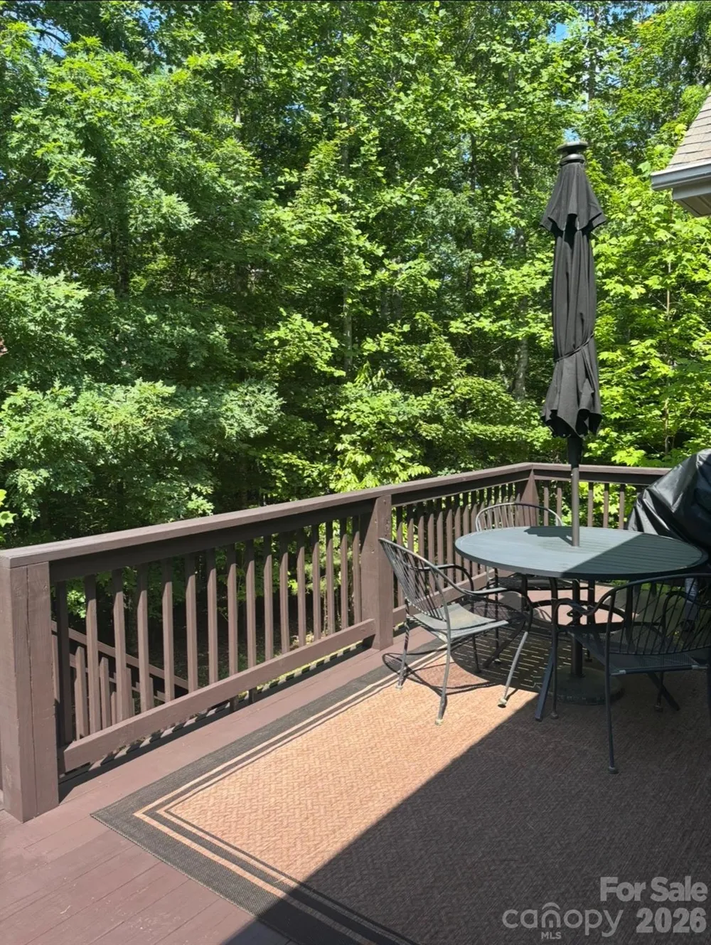 33 Gray Duster Circle Biltmore Lake, NC 28715