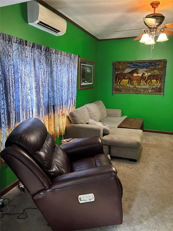61 Rocky Lane Cleveland, GA 30528