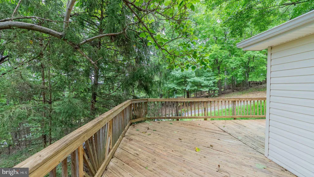 479 VESEY DRIVE Front Royal, VA 22630