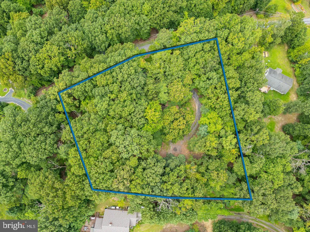 479 VESEY DRIVE Front Royal, VA 22630