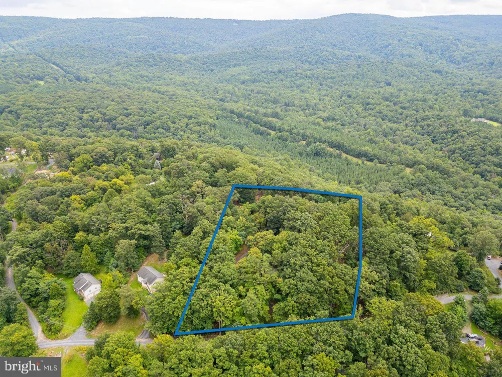 479 VESEY DRIVE Front Royal, VA 22630