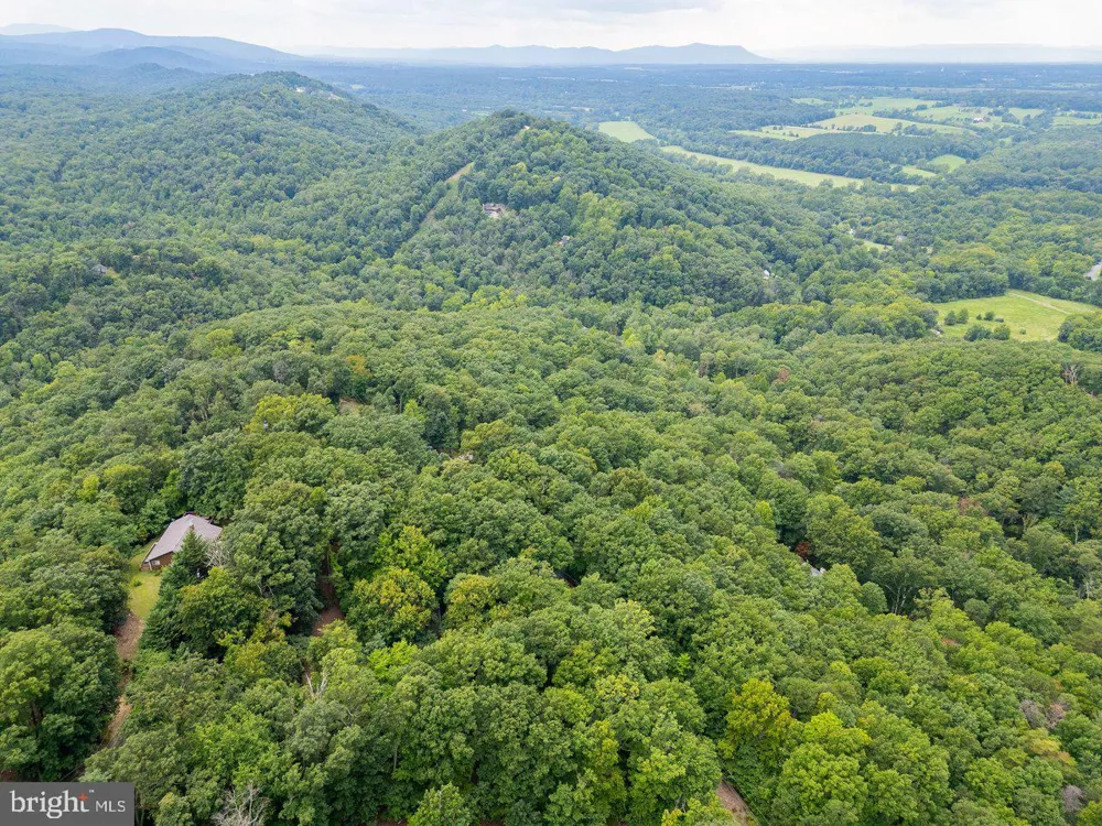 479 VESEY DRIVE Front Royal, VA 22630