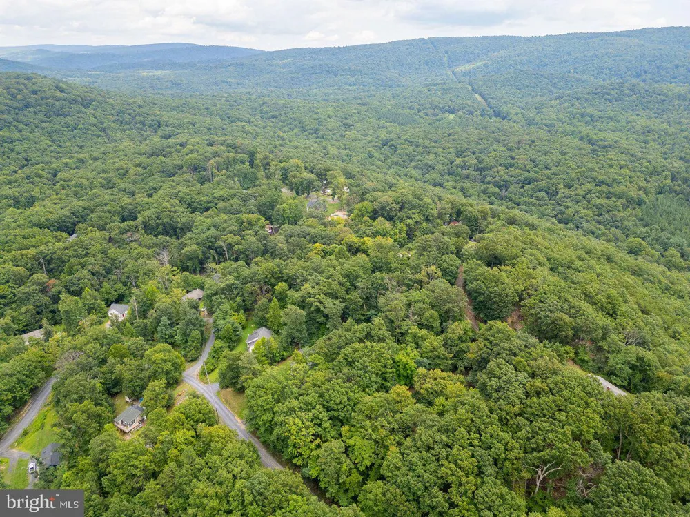 479 VESEY DRIVE Front Royal, VA 22630