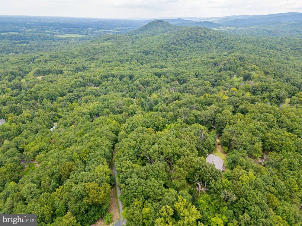 479 VESEY DRIVE Front Royal, VA 22630