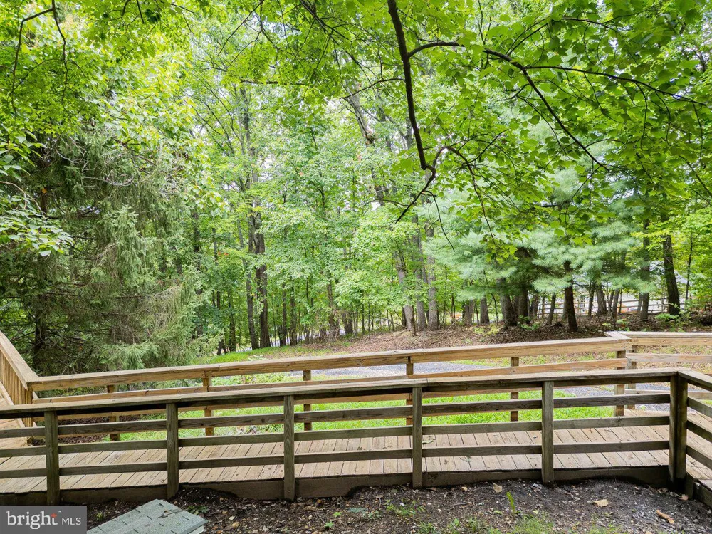 479 VESEY DRIVE Front Royal, VA 22630