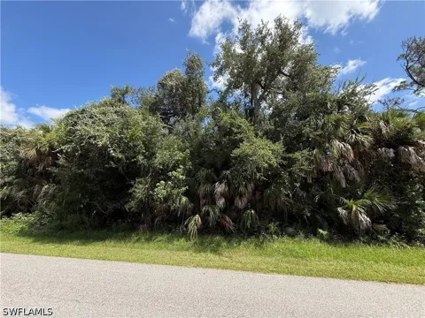 Shady Avenue