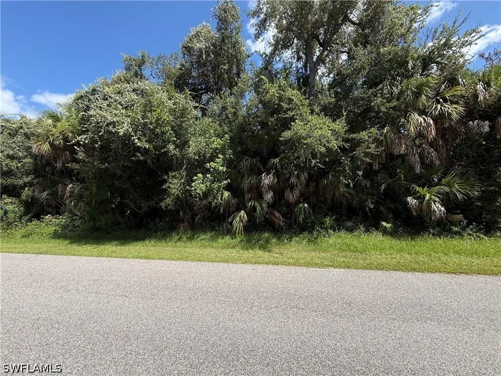 Shady Avenue North Port, FL 32186