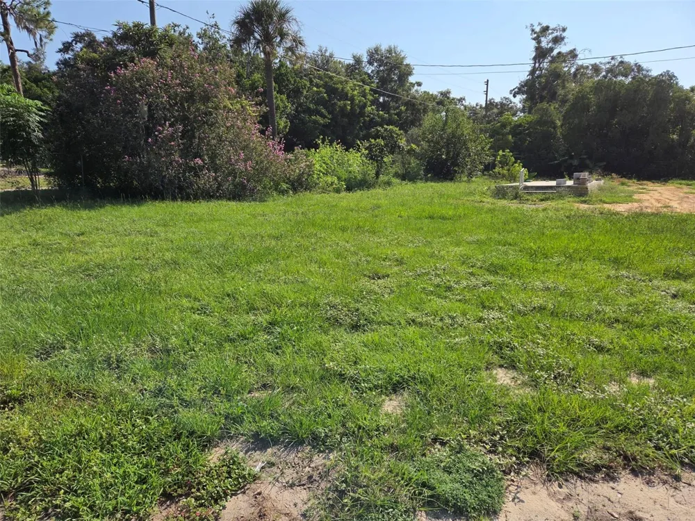 36830 EDEN STREET Zephyrhills, FL 33541