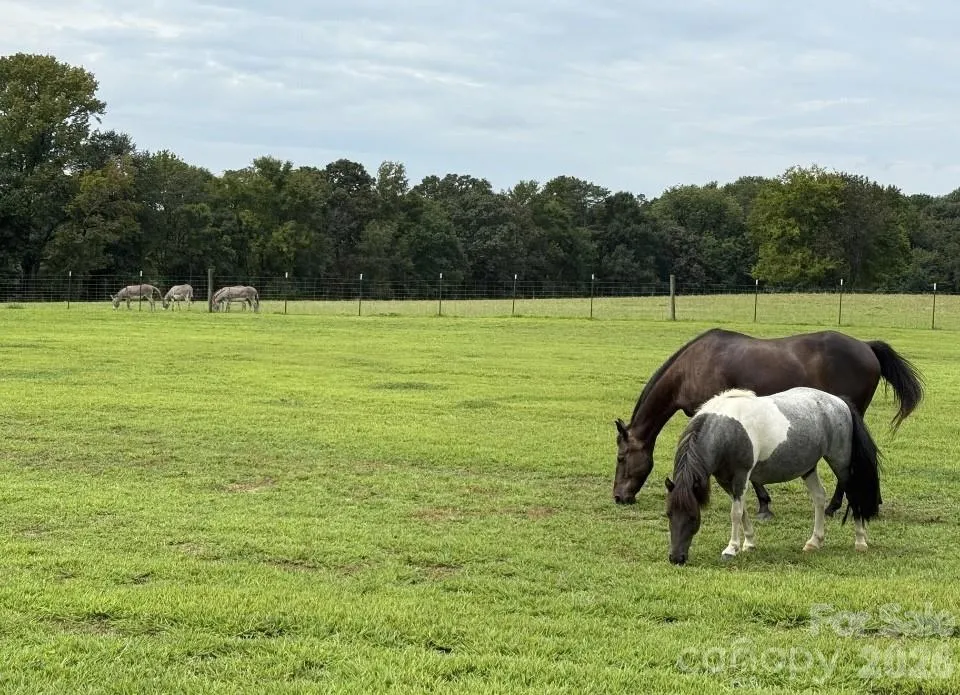 8720 Potter Road S Waxhaw, NC 28173