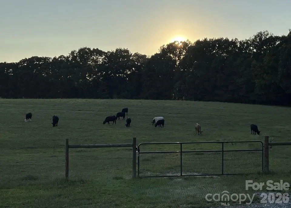 8720 Potter Road S Waxhaw, NC 28173