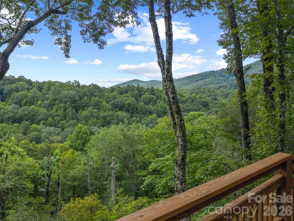 156 Winterstar Loop Burnsville, NC 28714