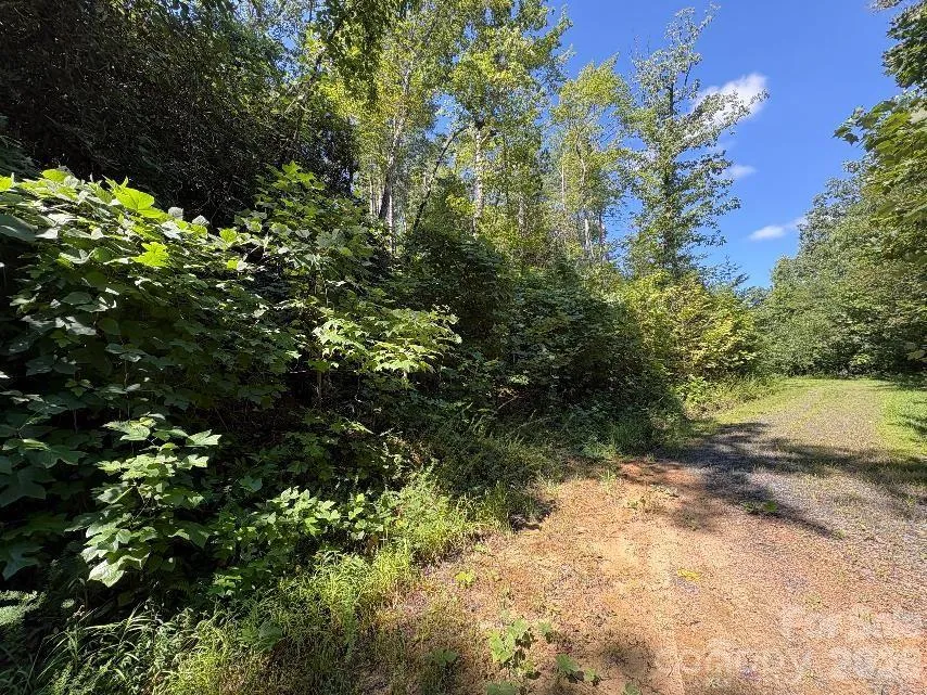 Lot 96 Little Fox Run Marion, NC 28752