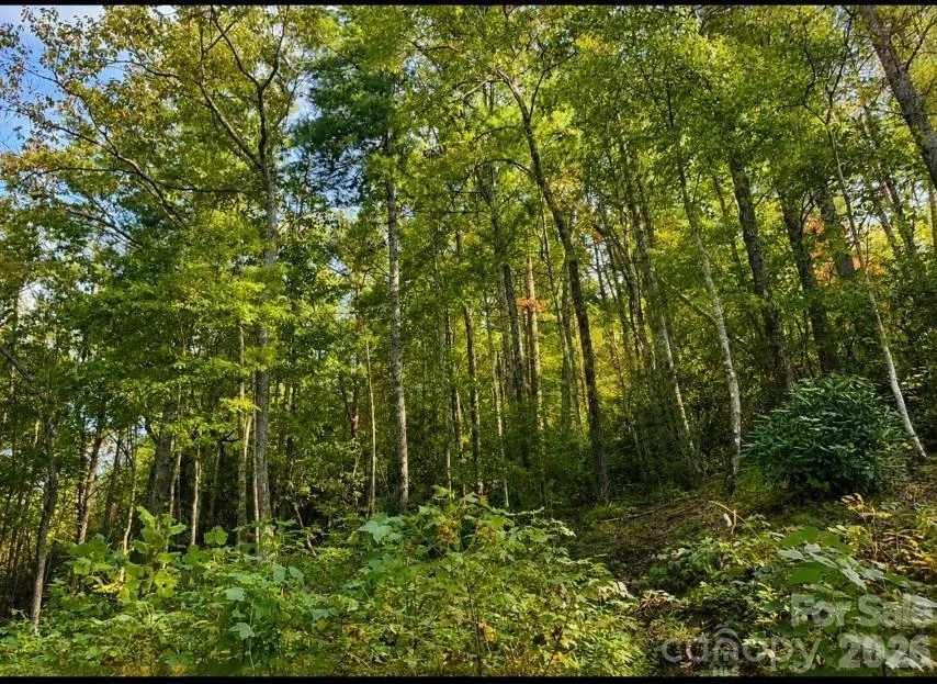 Lot 96 Little Fox Run Marion, NC 28752