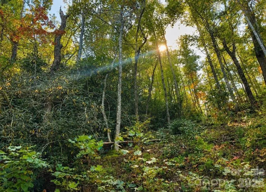 Lot 96 Little Fox Run Marion, NC 28752