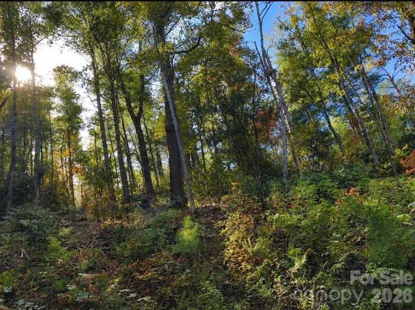Lot 96 Little Fox Run Marion, NC 28752