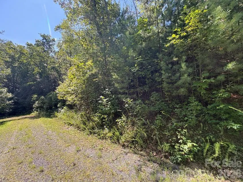 Lot 96 Little Fox Run Marion, NC 28752