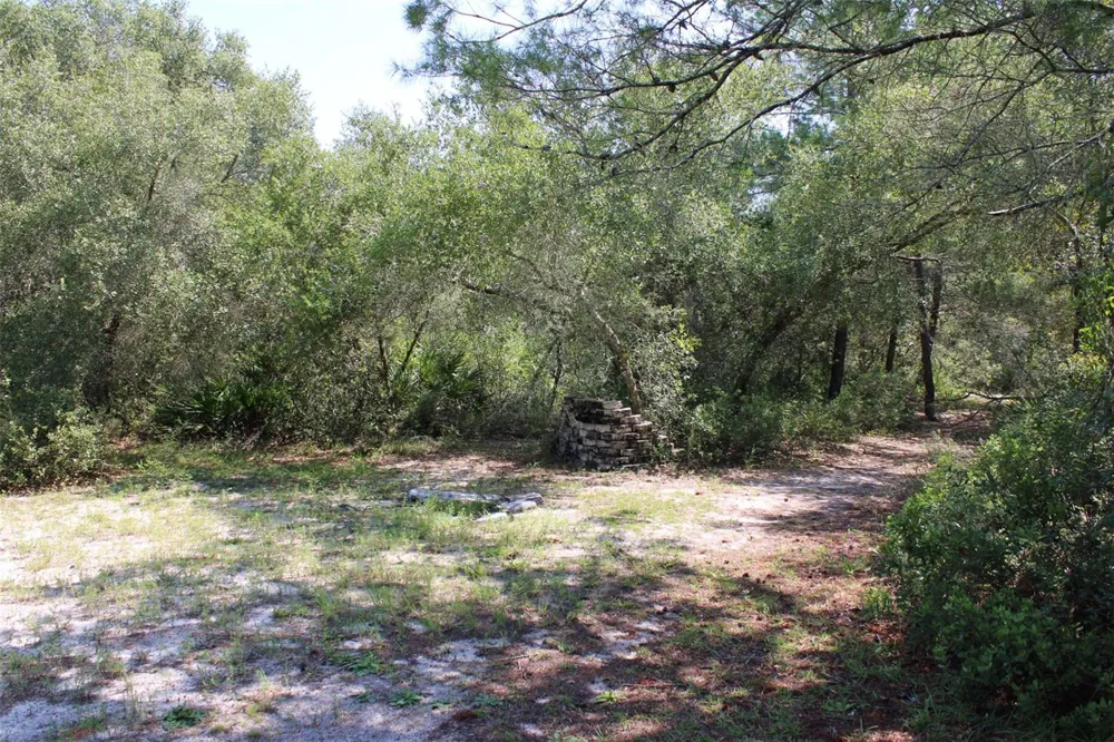 15764 NE 235TH PLACE Fort Mc Coy, FL 32134