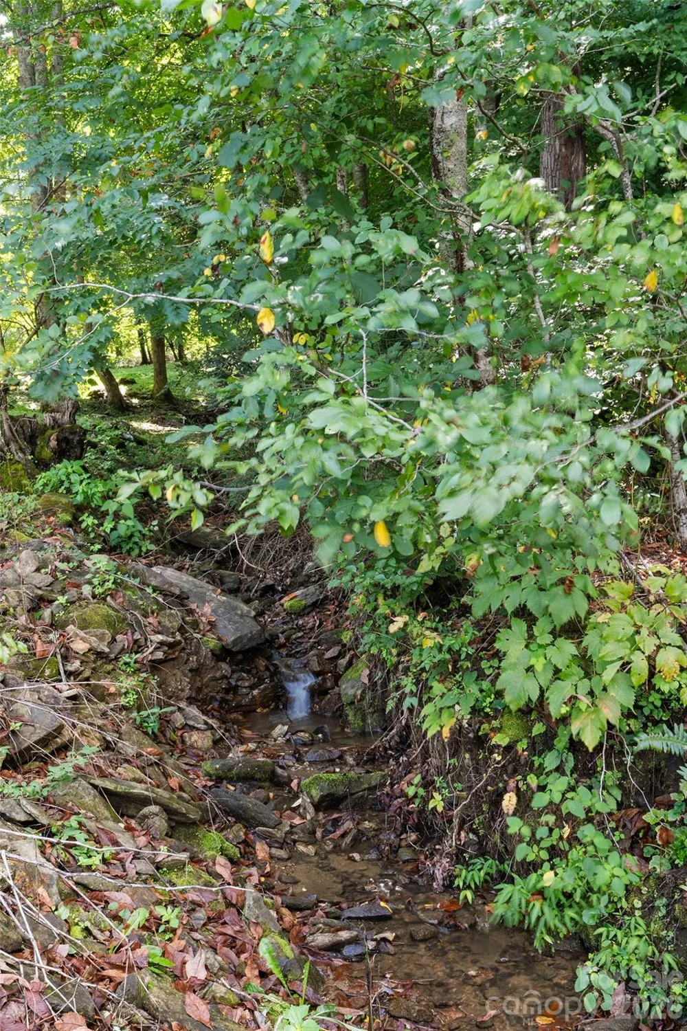 366 Sequoyah Drive Waynesville, NC 28785