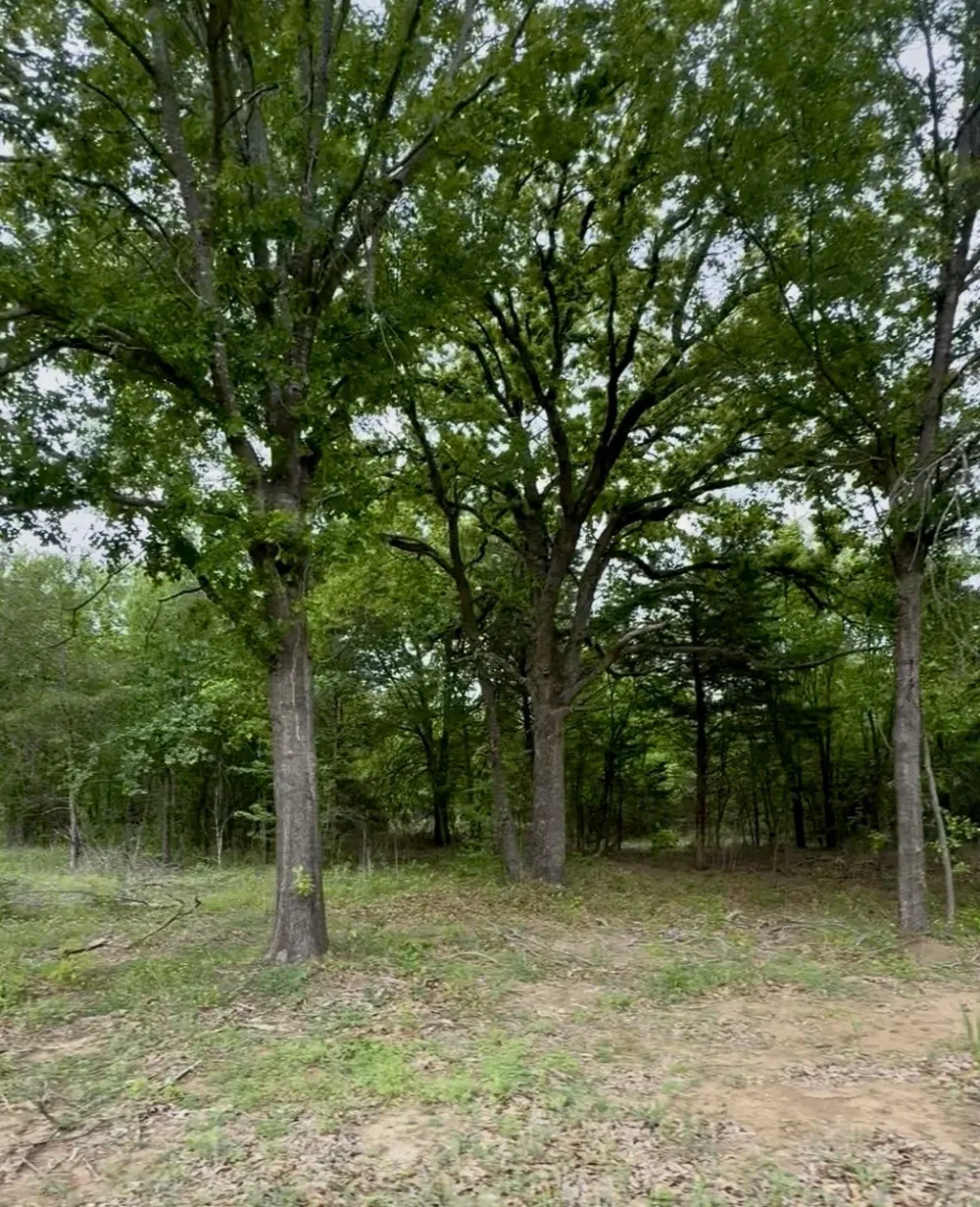 Slate Rock Road Ennis, TX 75119