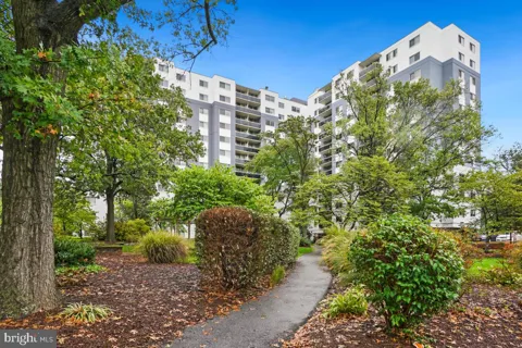 7333 NEW HAMPSHIRE AVENUE #803