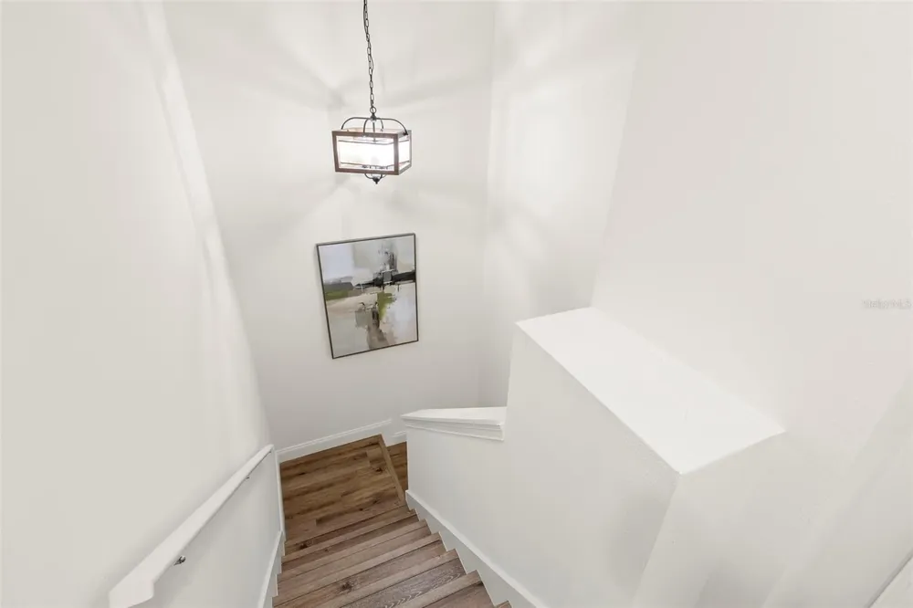 14743 CANOPY DRIVE Tampa, FL 33626