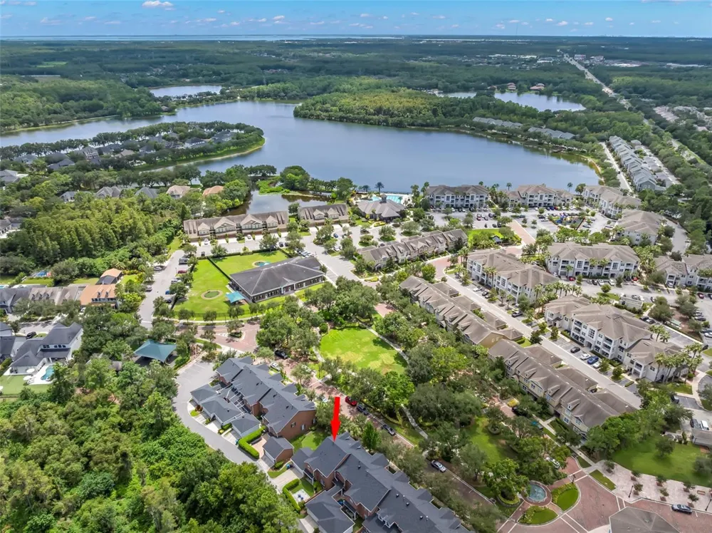14743 CANOPY DRIVE Tampa, FL 33626