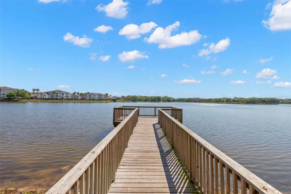 14743 CANOPY DRIVE Tampa, FL 33626