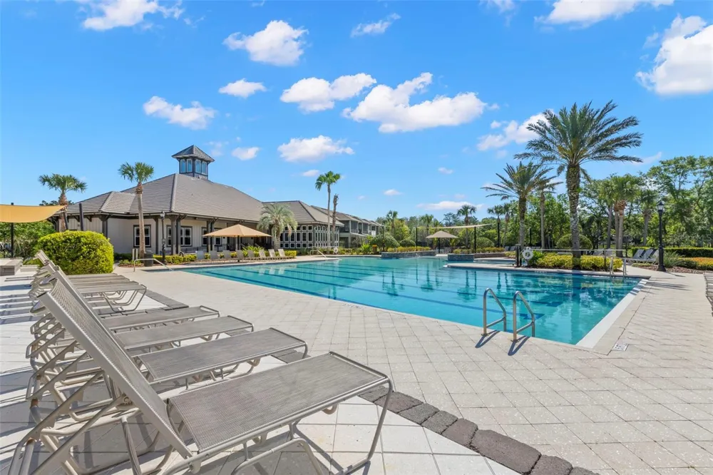 14743 CANOPY DRIVE Tampa, FL 33626