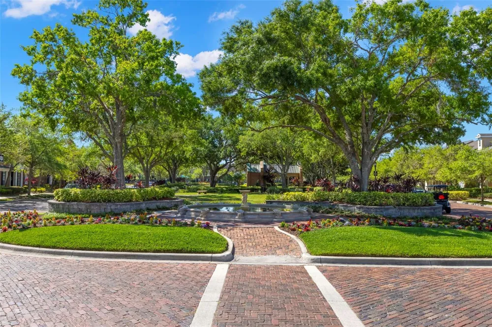 14743 CANOPY DRIVE Tampa, FL 33626