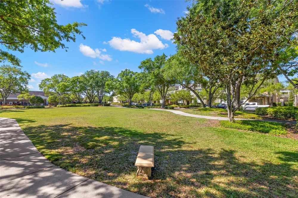 14743 CANOPY DRIVE Tampa, FL 33626