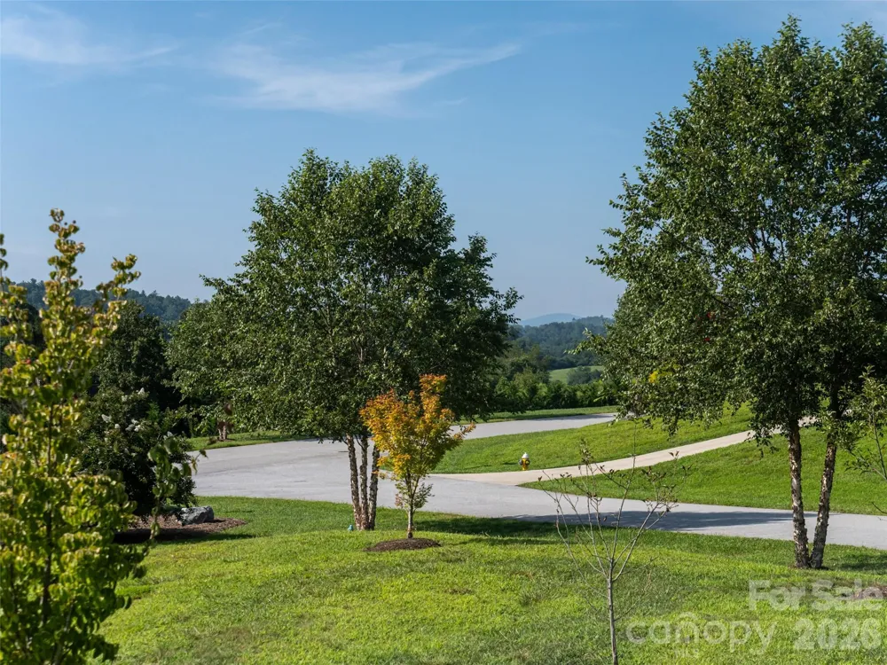 46 Solomia Drive Mills River, NC 28759