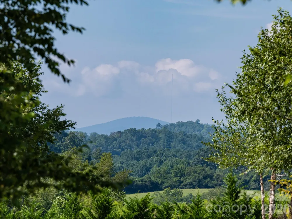 46 Solomia Drive Mills River, NC 28759