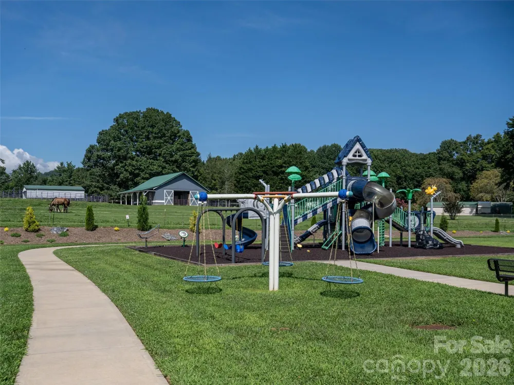 46 Solomia Drive Mills River, NC 28759