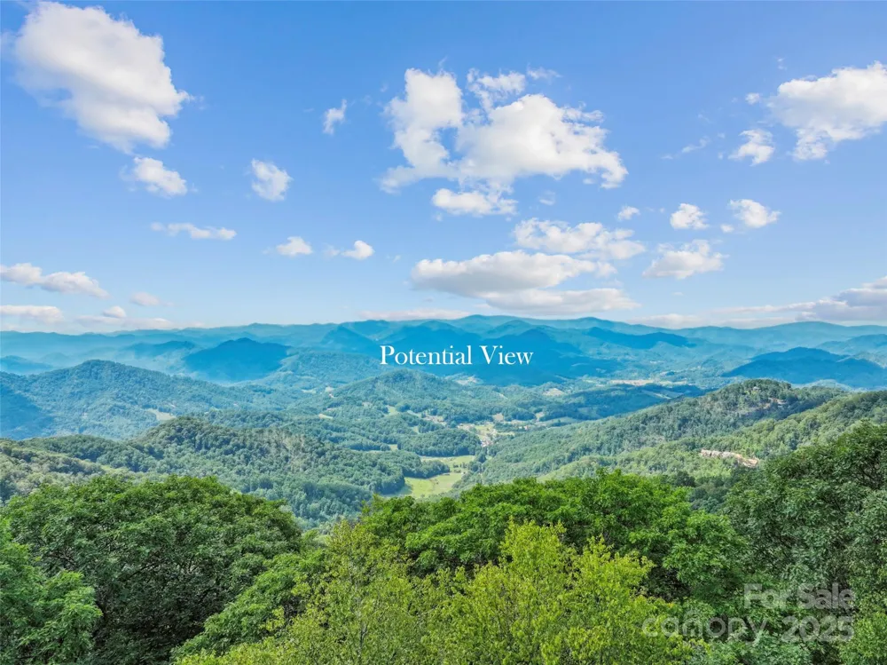 Lot 9 Wormy Chestnut Road Burnsville, NC 28714