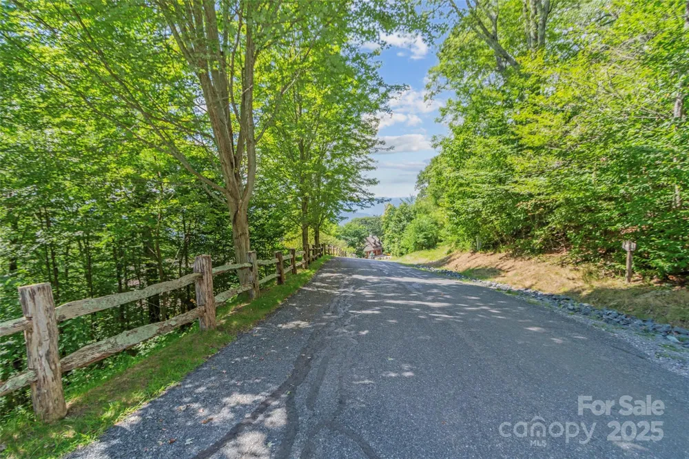 Lot 9 Wormy Chestnut Road Burnsville, NC 28714