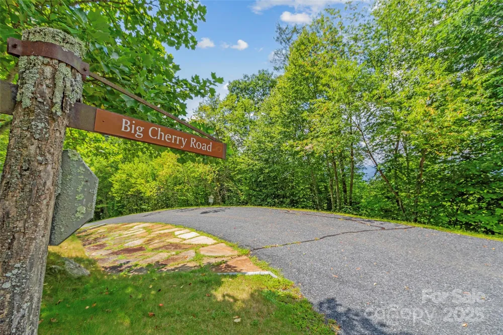 Lot 9 Wormy Chestnut Road Burnsville, NC 28714